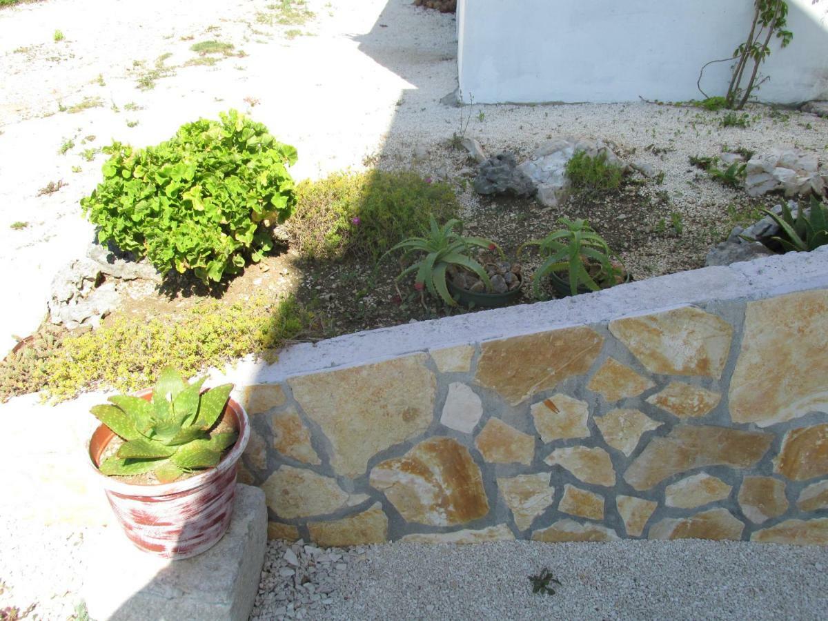 Sunny Apartman Pajdek Sevid Εξωτερικό φωτογραφία